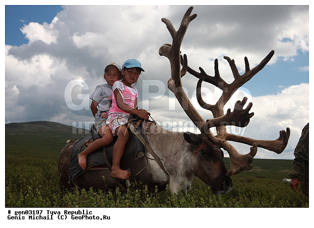 ������, ������, ����, ����, ������� �����, ����, ���� � �����, ��������, ��������, �����, �����, �������, ���������� ����, ��������, �������� ����������, �������, ��������, ��������, �������������, �������������, �����, �����, XYZ, ��������, ������, Cervidae, �������� �����, ������, Rangifer tarandus