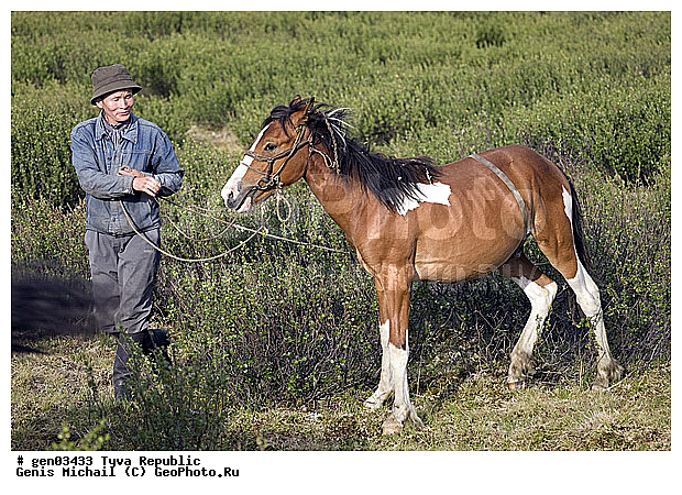 ������, ������, ����, ����, ��������, ������, ���������������, ���������� ������, ���������� ����, ��������, �������� ����������, ��������, ��������, �������������, �������������, �����, �����, XYZ, ���������, Equidae, �������� ������, Equus ferus caballus