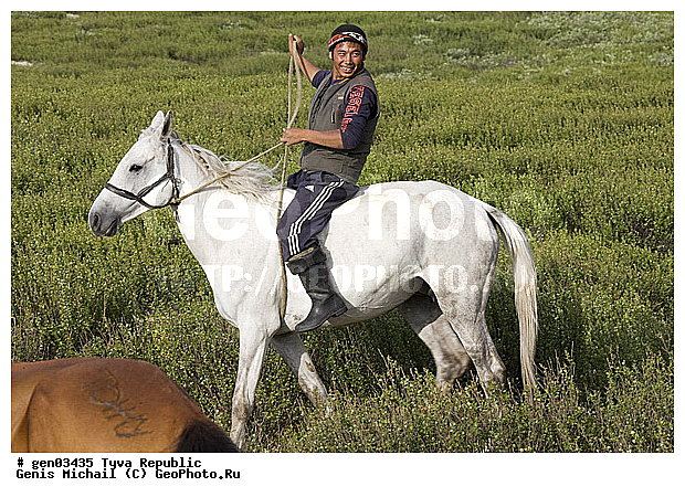 ������, ������, ����, ����, ��������, ������, ���������������, ���������� ������, ���������� ����, ��������, �������� ����������, ��������, ��������, �������������, �������������, �����, �����, XYZ, ���������, Equidae, �������� ������, Equus ferus caballus