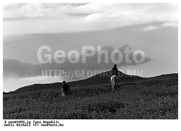 ������, ������, ����, ����, ��������, ������, ���������������, ���������� ������, ���������� ����, ��������, �������� ����������, ��������, ��������, �������������, �������������, �����, �����, XYZ, ���������, Equidae, �������� ������, Equus ferus caballus