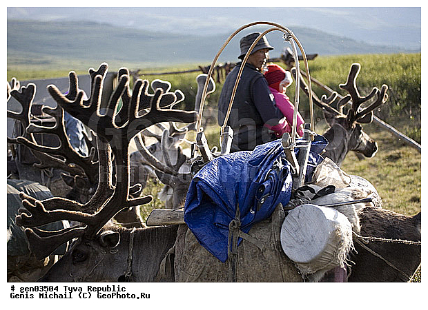 ������, ������, ����, ����, ��������, ����, ���� � �������, �����, �����, ���������� ����, ��������, �������� ����������, �������, ��������, ��������, �������������, �������������, �����, �����, XYZ, ��������, ������, Cervidae, �������� �����, ������, Rangifer tarandus