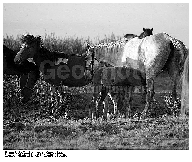 ������, ������, ����, ����, ��������, ��������, ������, ���������������, ���������� ����, ��������, �������� ����������