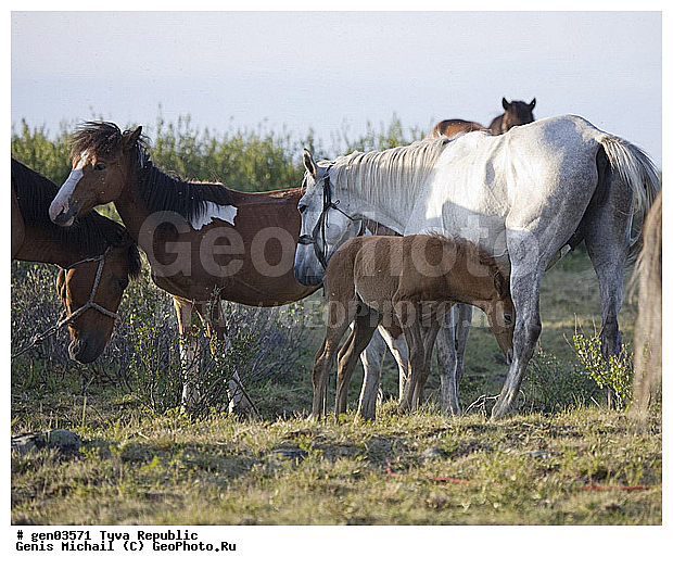 ������, ������, ����, ����, ��������, ��������, ������, ���������������, ���������� ����, ��������, �������� ����������