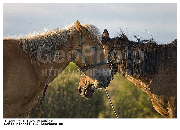 ������, ������, ����, ����, ��������, ��������, ������, ���������������, ���������� ����, ��������, �������� ����������