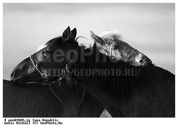 ������, ������, ����, ����, ��������, ��������, ������, ���������������, ���������� ����, ��������, �������� ����������