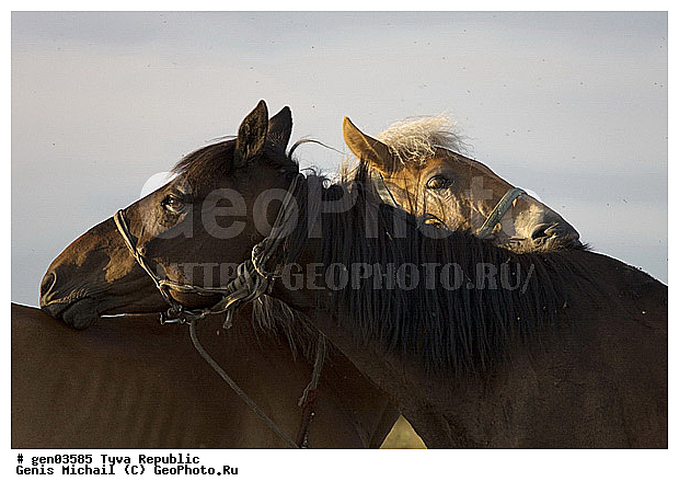 ������, ������, ����, ����, ��������, ��������, ������, ���������������, ���������� ����, ��������, �������� ����������