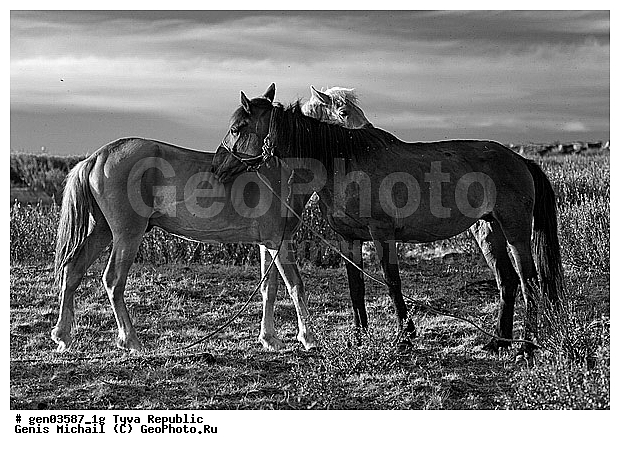 ������, ������, ����, ����, ��������, ��������, ������, ���������������, ���������� ����, ��������, �������� ����������