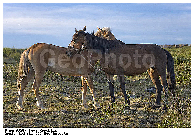 ������, ������, ����, ����, ��������, ��������, ������, ���������������, ���������� ����, ��������, �������� ����������