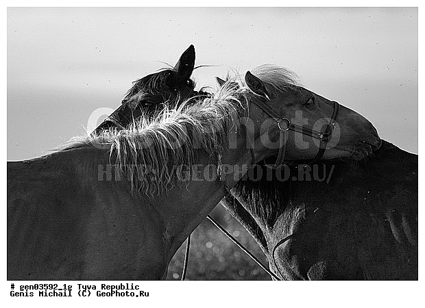 ������, ������, ����, ����, ��������, ��������, ������, ���������������, ���������� ����, ��������, �������� ����������