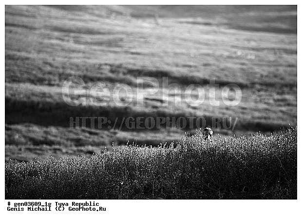 ������, ������, ����, ����, ������� �����, ����, ���� ����������, �������, �������, ���������� ����, ��������, �������� ����������