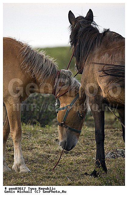 ������, ������, ����, ����, ��������, ��������, ������, ���������������, ���������� ����, ��������, �������� ����������