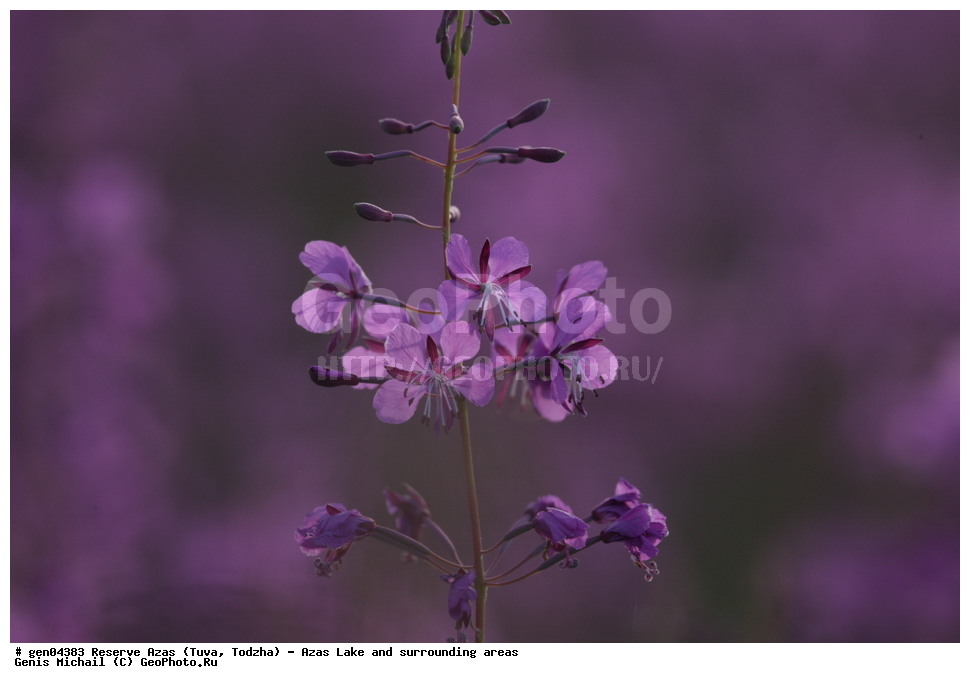  ���������, ����, ����, �����,  ����� ����, �����, �������� ����, ��������� ����