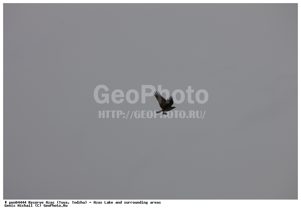  ���������, ����, ����, �����,  ����� ����, �����, �������� ����, ��������� ����