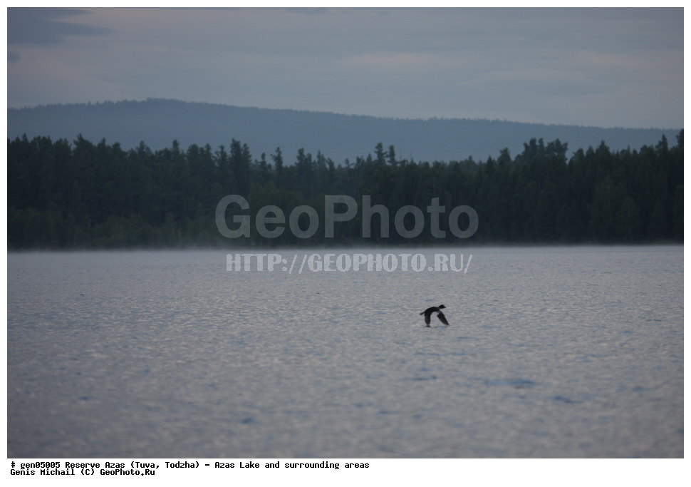  ���������, ����, ����, �����,  ����� ����, �����, �������� ����, ��������� ����