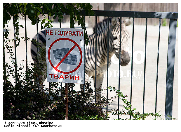 ����, ���������, ������, ����, ������, �������