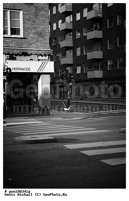 ���������� ����, �����������, ���������, ������, �����, ����������� �������, �����������, ����, �������