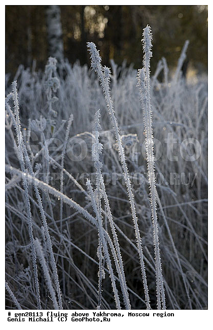 ���������, ����, �����, ��������, �����������, ����