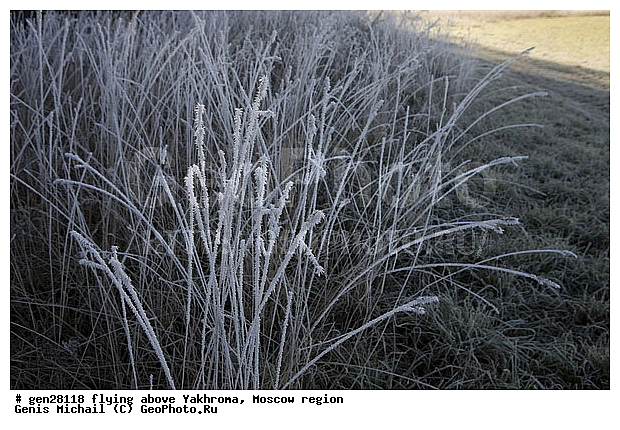 ���������, ����, �����, ��������, �����������, ����