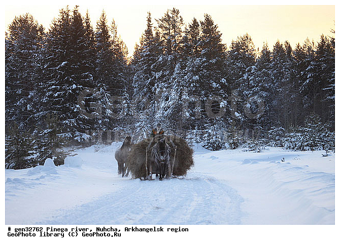 �������������, �����, ������, ���������, ������� �����, �����������, �������, ���������, ����, �����, ������, �����, ����, �������, �������, �����, ������