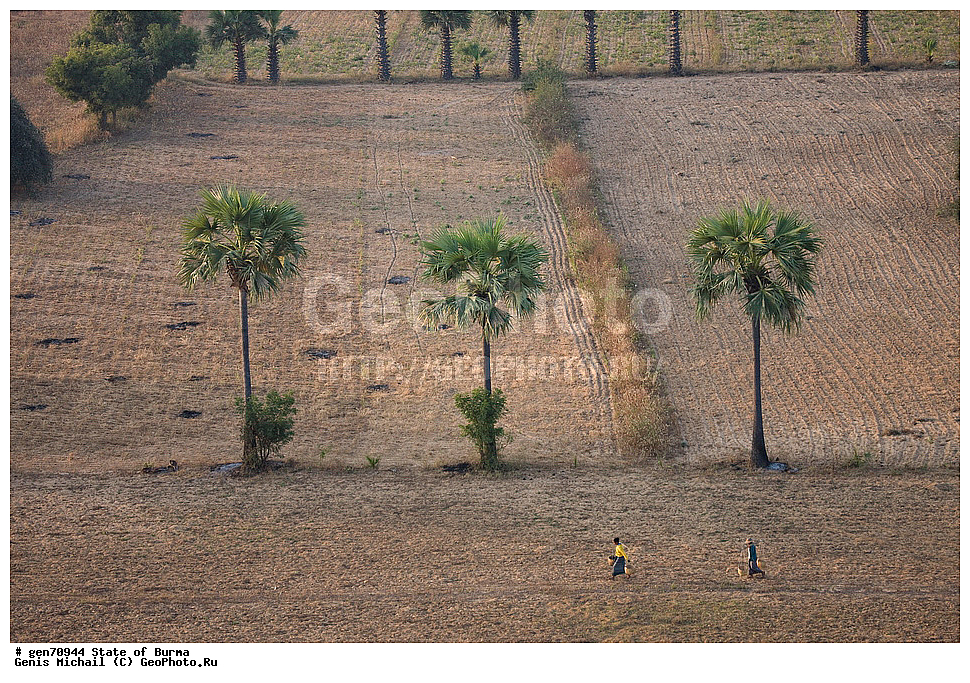 ������, �����