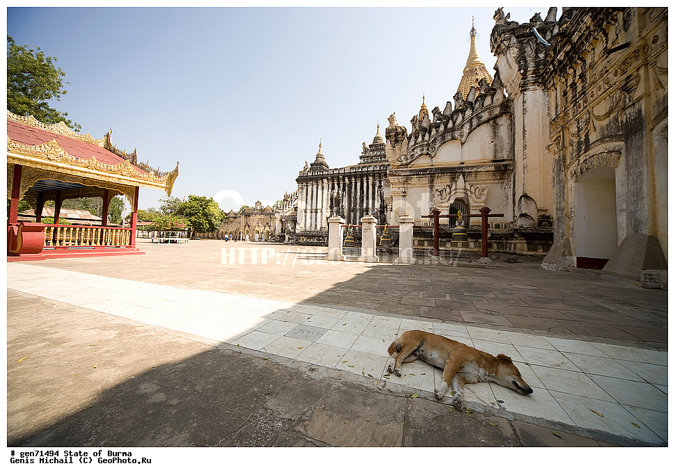 ������, �����