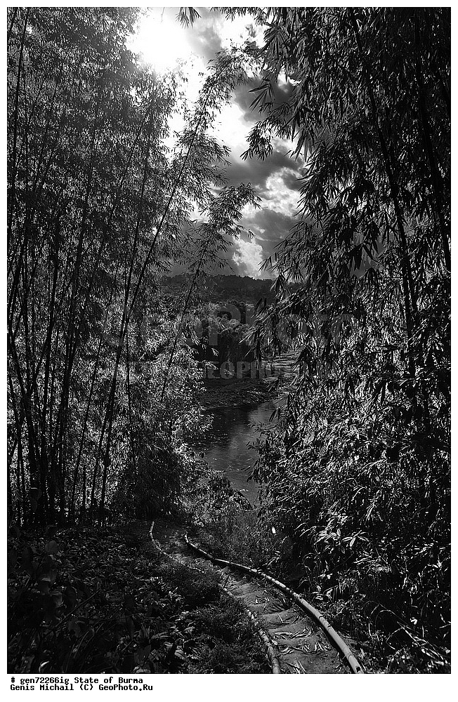 ������, �����