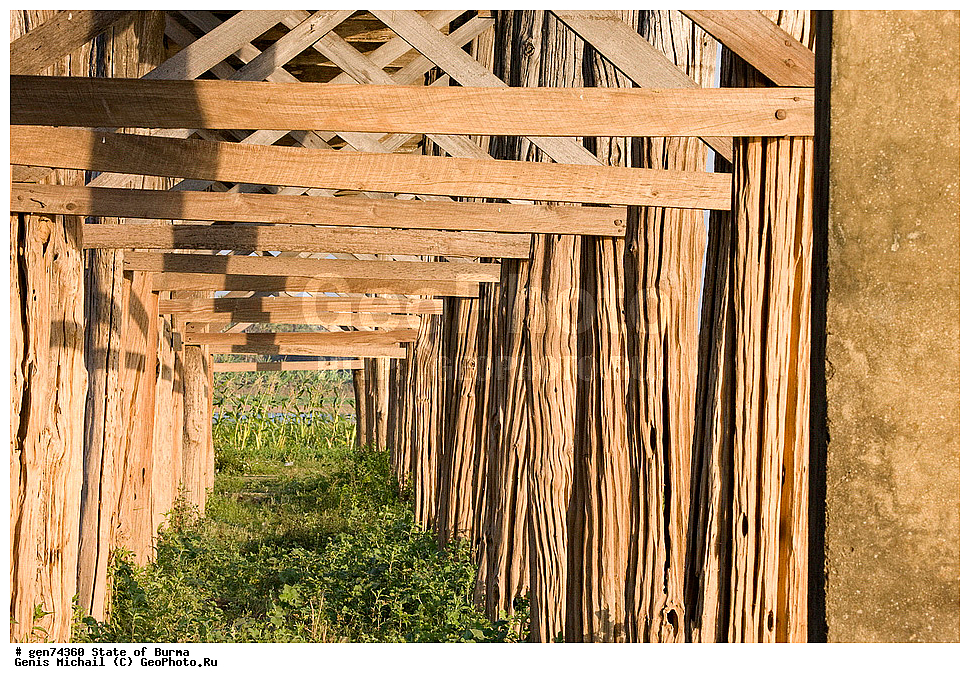 ������, �����