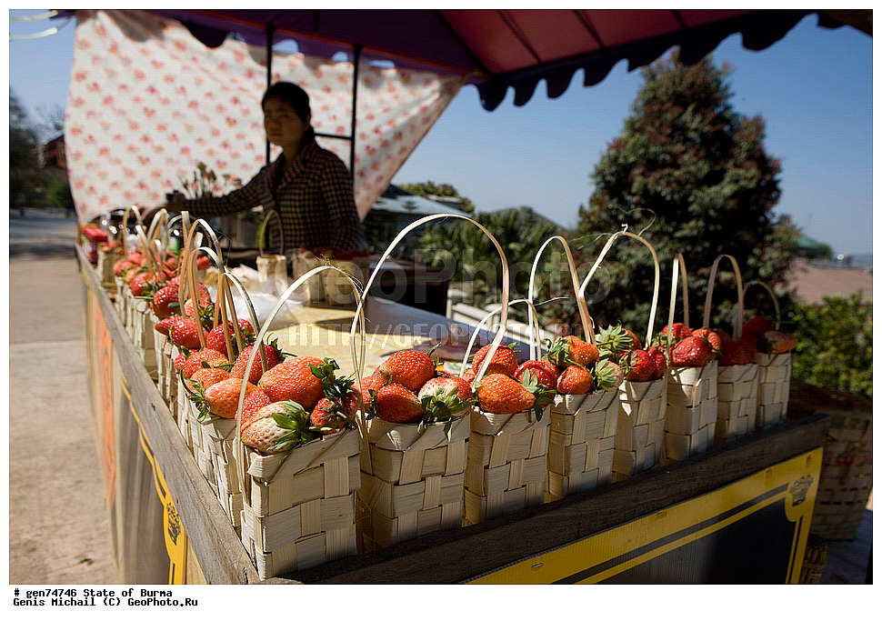 ������, �����