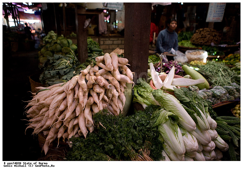 ������, �����