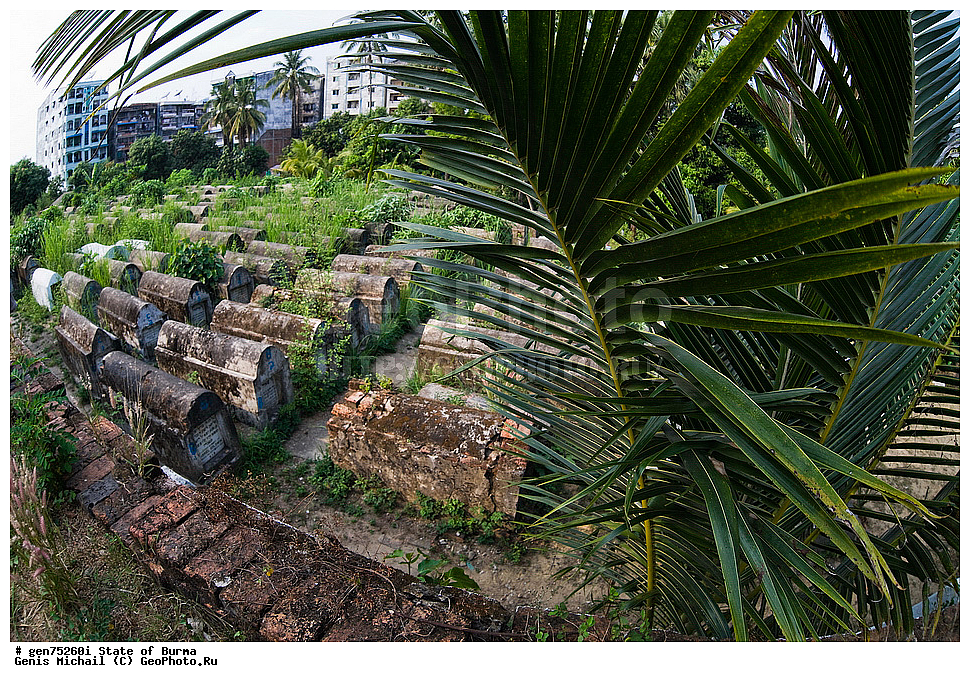 ������, �����