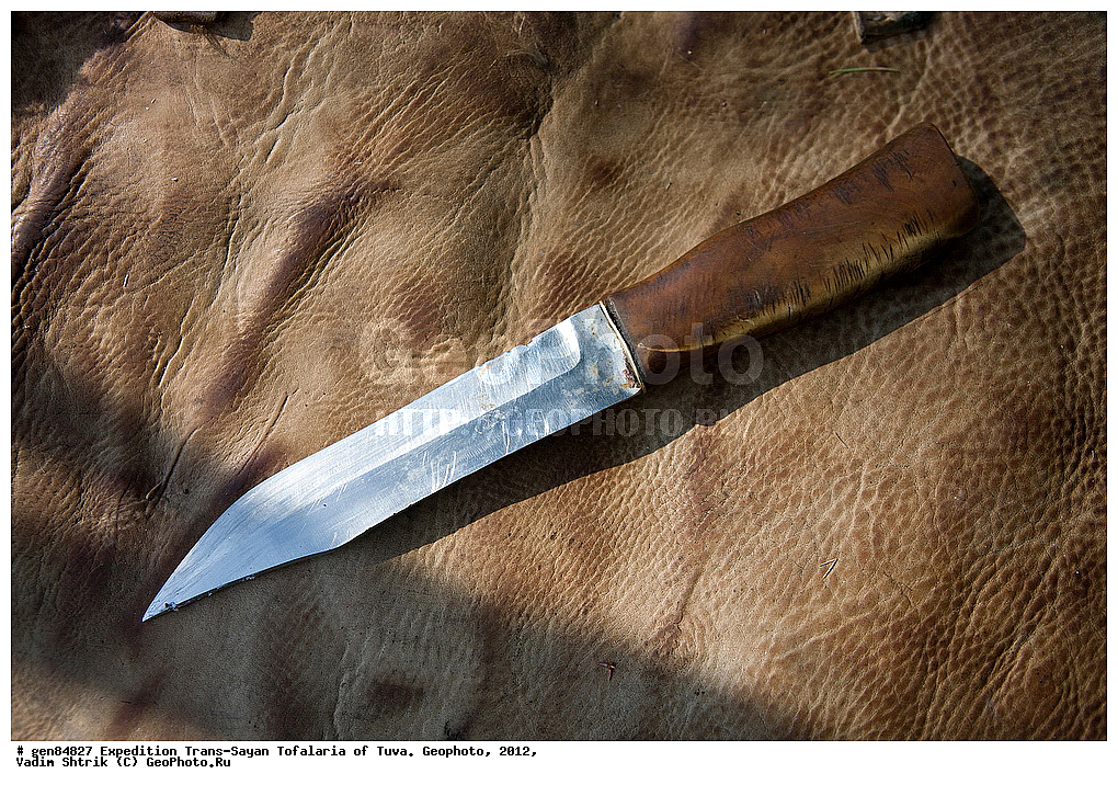 ����������, �����-�����, �� ��������� � ����, �������, 2012, ����, ��������� �������, ������, ����������