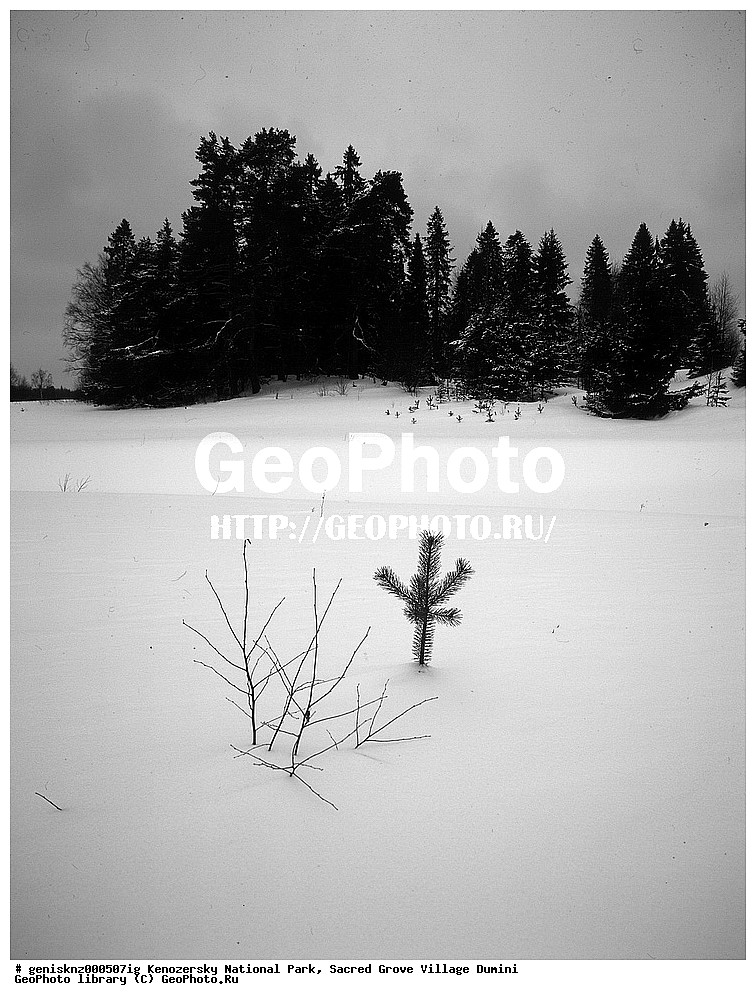 ����, ����, ����������� ������������ ����, ��������, ������ ����, �������, ������