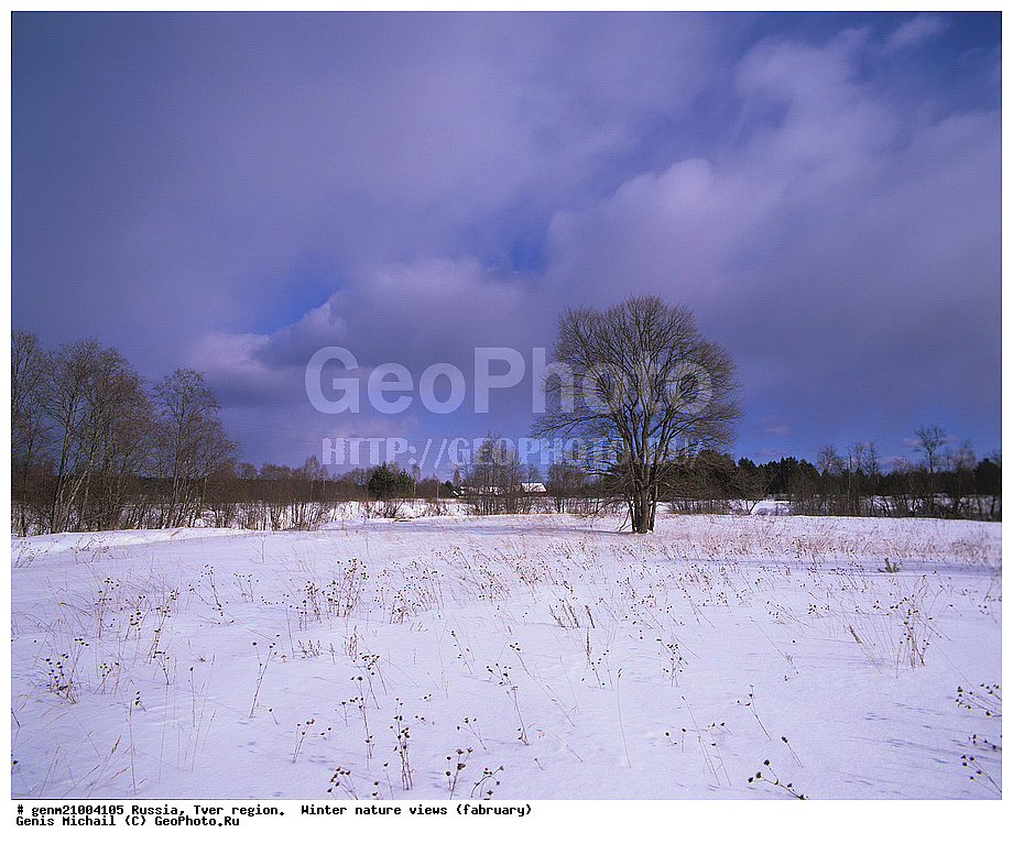  ����, ������� ������, ���, ���� �����, �������, ����� �����, �������� �������, ������, �������