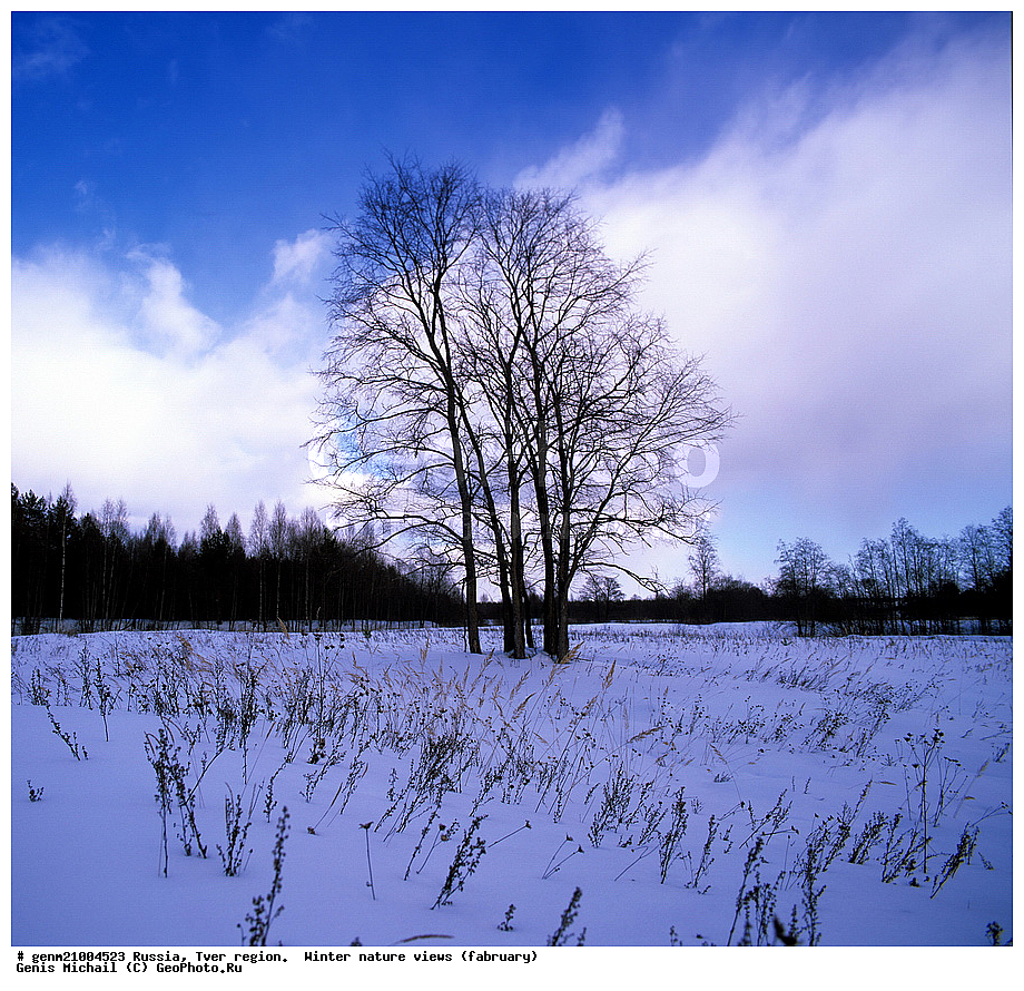  ����, ������� ������, ���, ���� �����, �������, ����� �����, �������� �������, ������, �������