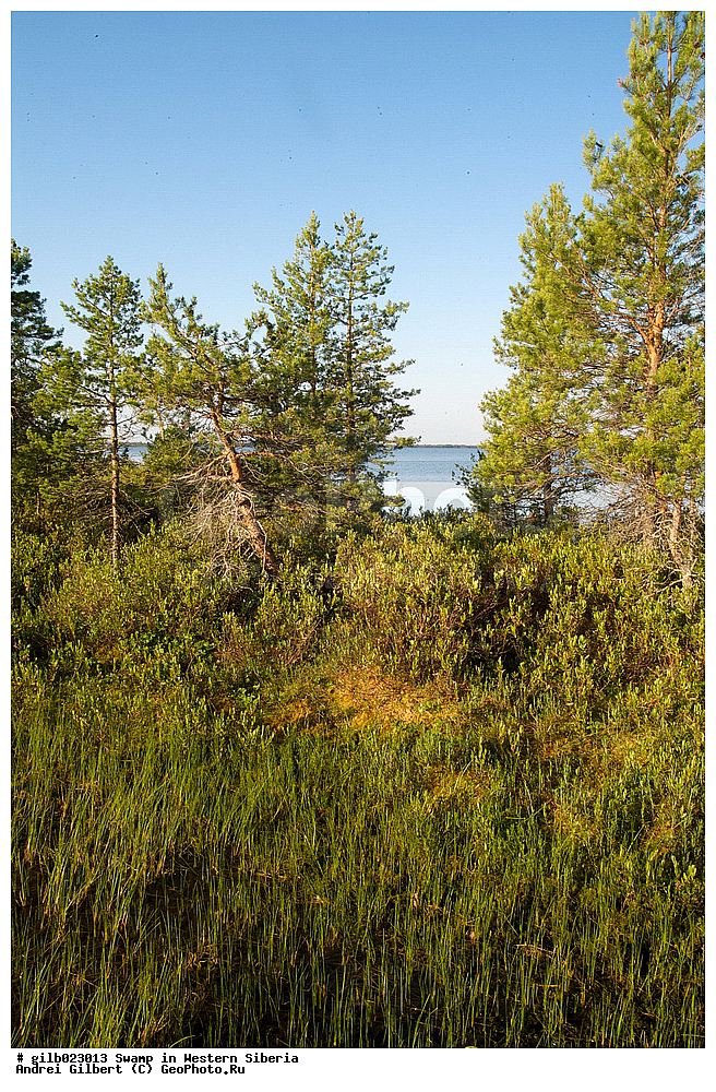 ������, �������� ������, ������,  ����, �����, ������� �����, �������� �����, �����, ����� ����� �����, ����� � �����