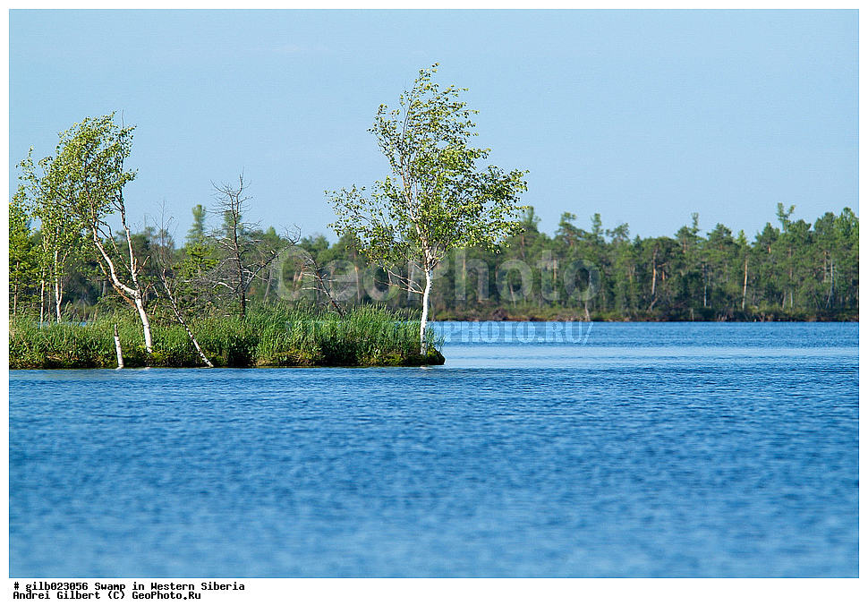 ������, �������� ������, ������,  ����, �����, ������� �����, �������� �����, �����, ����� ����� �����, ����� � �����