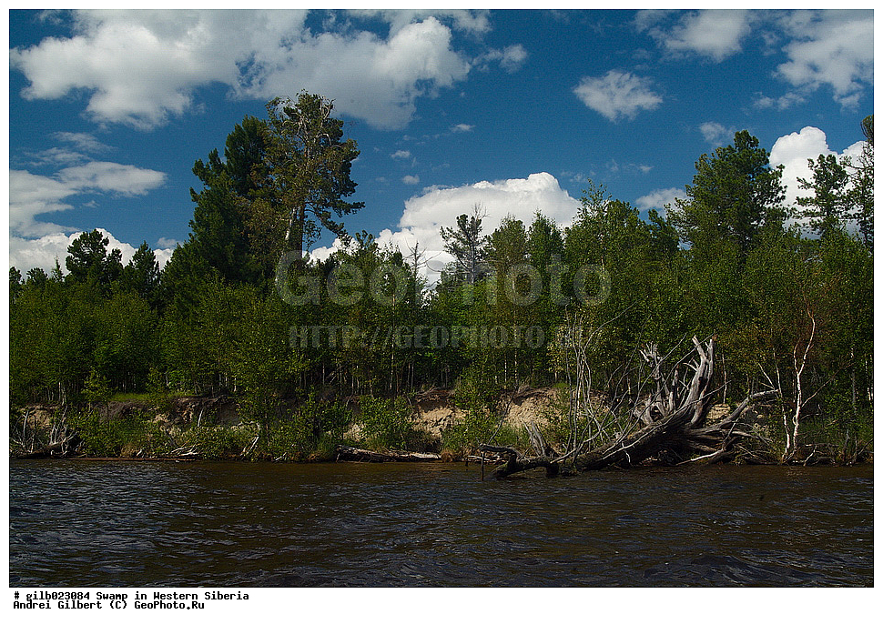 ������, �������� ������, ������,  ����, �����, ������� �����, �������� �����, �����, ����� ����� �����, ����� � �����