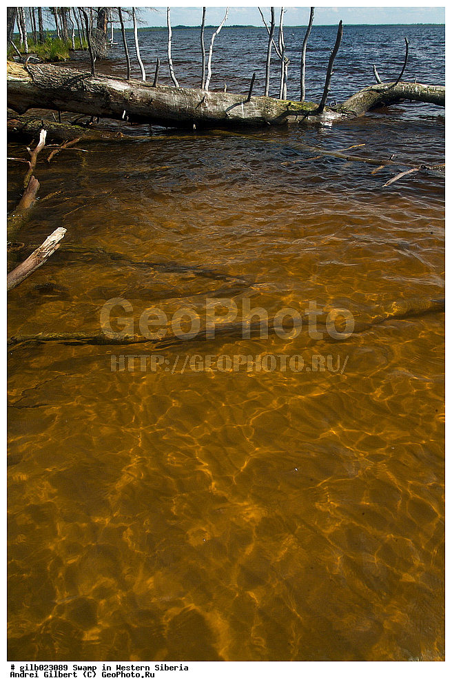 ������, �������� ������, ������,  ����, �����, ������� �����, �������� �����, �����, ����� ����� �����, ����� � �����