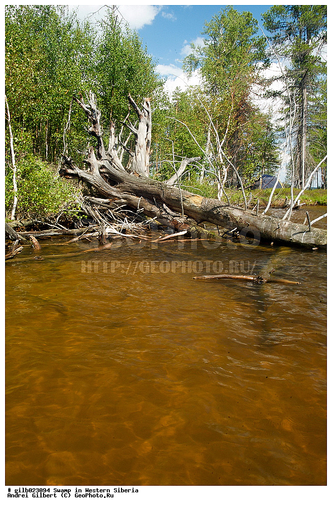 ������, �������� ������, ������,  ����, �����, ������� �����, �������� �����, �����, ����� ����� �����, ����� � �����