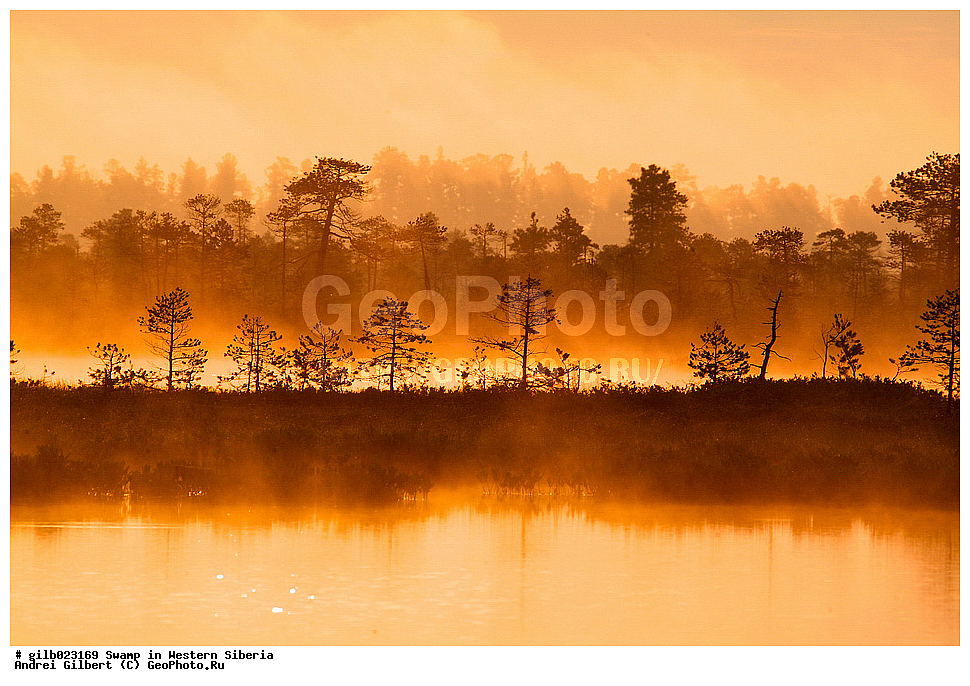 ������, �������� ������, ������,  ����, �����, ������� �����, �������� �����, �����, ����� ����� �����, ����� � �����, �������, ������ ������, ����, �����