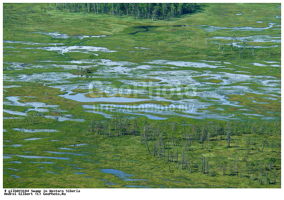 ������, �������� ������, ������,  ����, �����, ���, ��� � ���������, �����