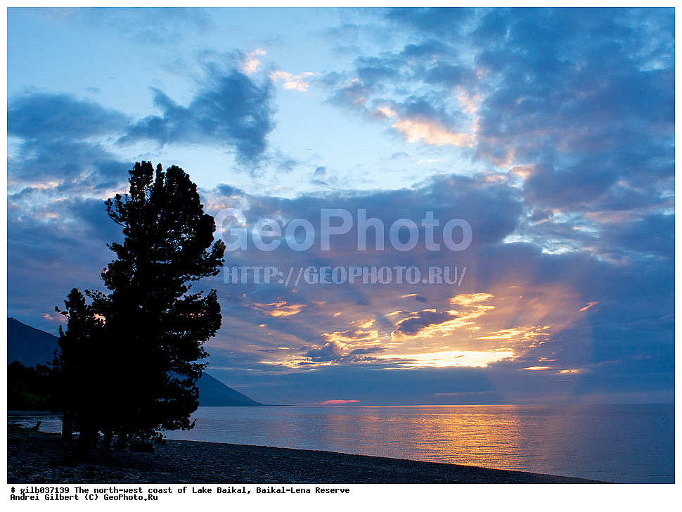 ������, �������, ������, ������ ������, ����, �����, ����, ����� �����, ����� �������, ������, ���� ������, ����������� ����, �������-������� ����������, ��������� �������
, ����� ������