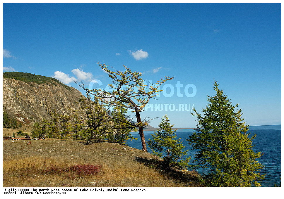 ������, ����� ������, ������, �����, ����� �������, �������, �������-������� ����������, ��������� �������
, ����������� ����