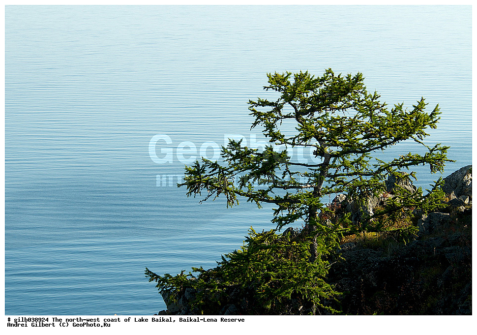 ������, ������, ����� �������, �������-������� ����������, ��������� �������
, ����� ������, ����������� ����