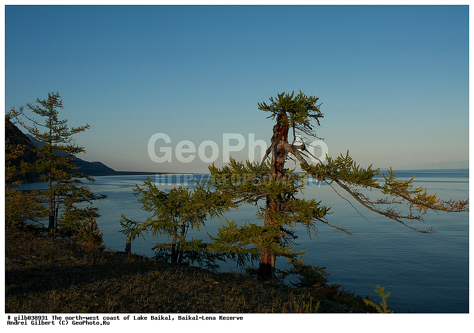 ������, ������, �����, ����� ��������, ����, �������-������� ����������, ��������� �������
, ����� ������, ����������� ����