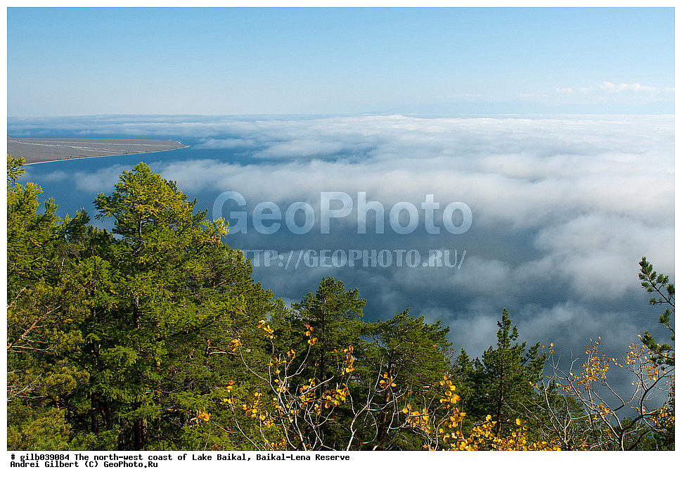 ������, ������, �����, �������-������� ����������, ��������� �������
, ����� ������, ����������� ����