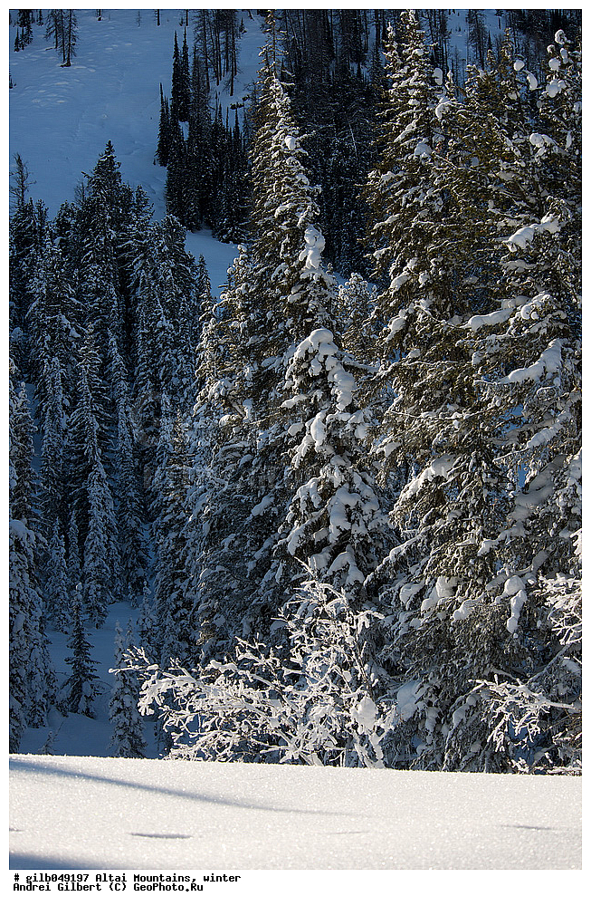 ������ �����, ����, ����, ����, ����, ��������� ���������� ����������,  �����, ���, ����