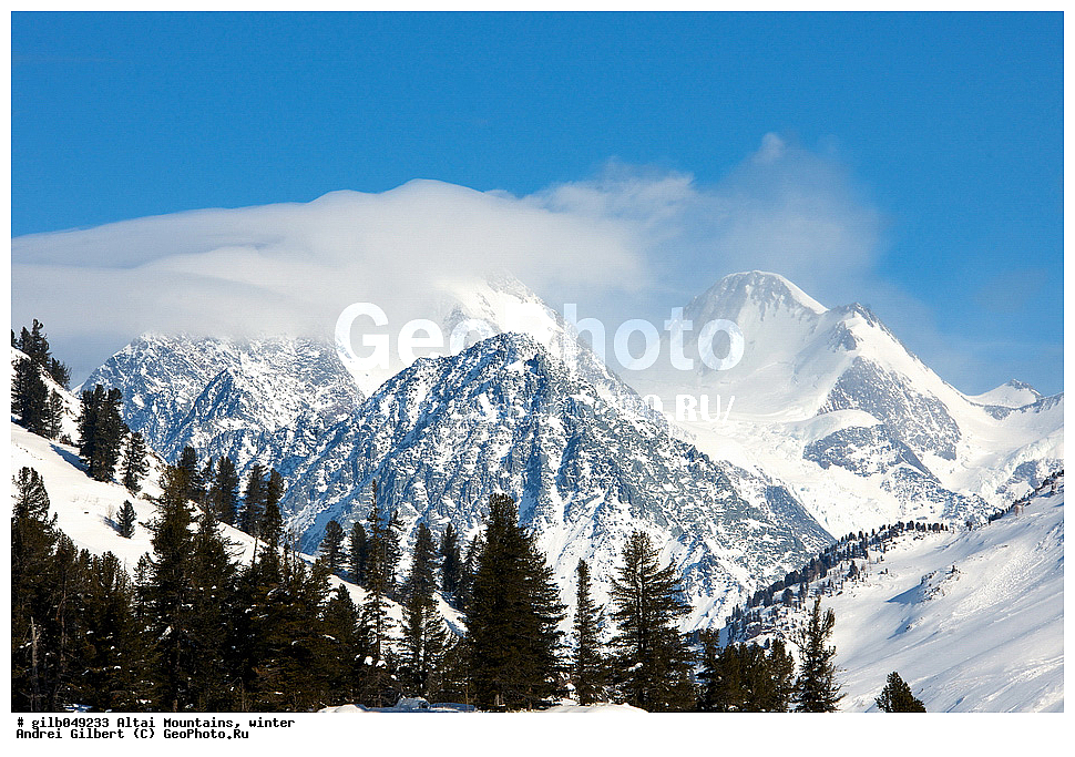 ������ �����, ���� ������, ������ �������, ������, ����, ������, ��������� ����������, �������
