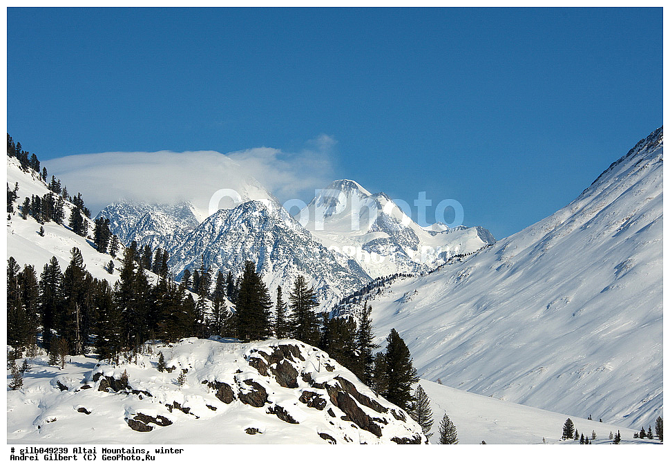 ������ �����, ���� ������, ������ �������, ������, ����, ������, ��������� ����������, �������
