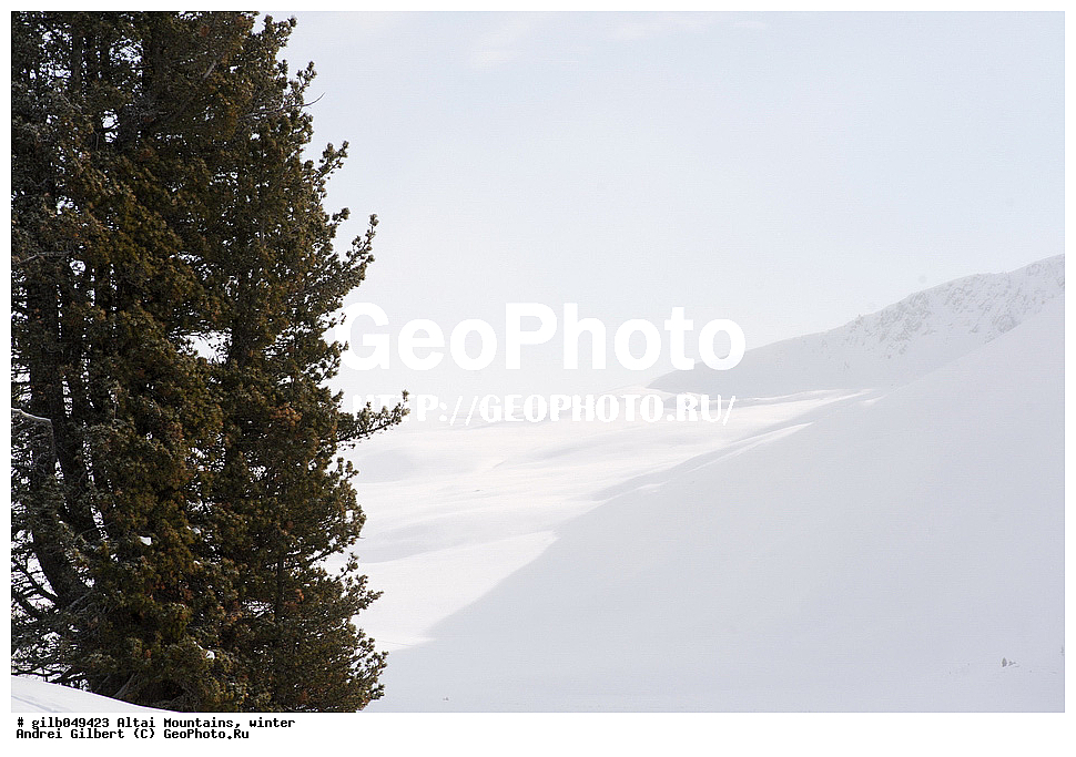 ������ �����, ����, ����, ����, ����, �������, ����,  ��������� ���������� ����������
